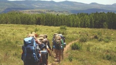 hiking safety - preventing tick bites