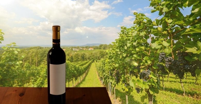 san francisco winery tour