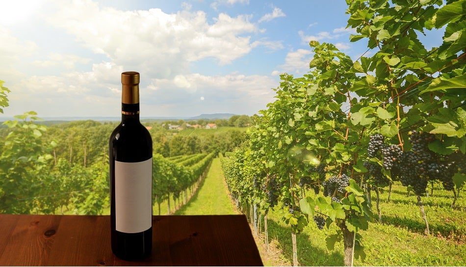 The 7 Best Wine Tours From San Francisco [2020 Reviews] Outside Pursuits