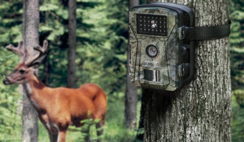 hunt trail camera example image