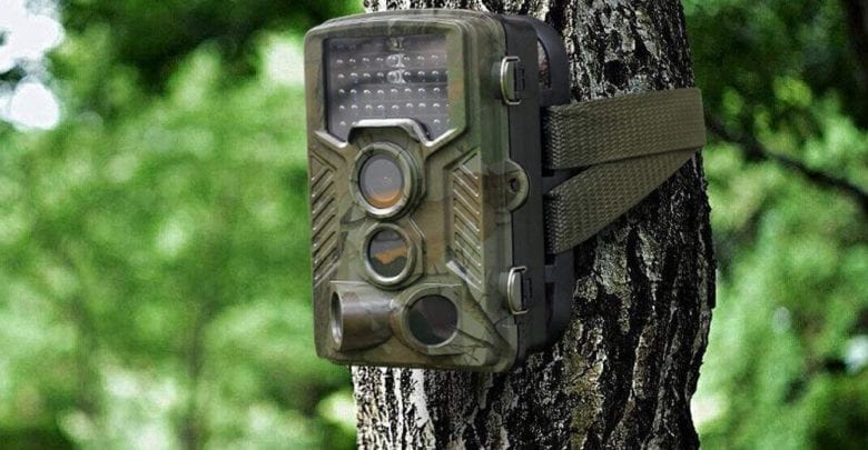 hunt trail camera feature image