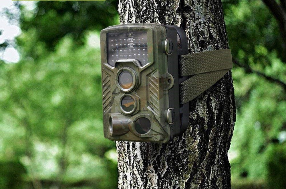 hunt trail camera feature image