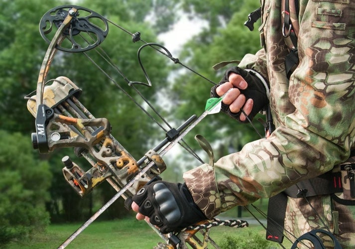 Best Bows For Hunting Recurve Compound - Featured Image 3