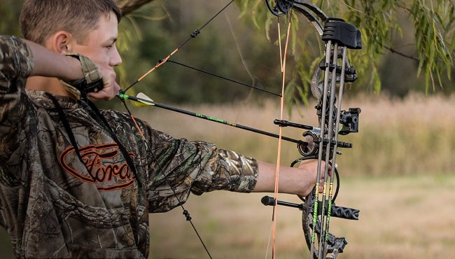 Best Bows For Hunting Recurve Compound - Guide Image