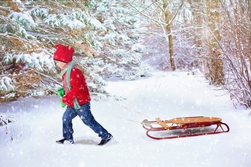Sledding Tips Safety