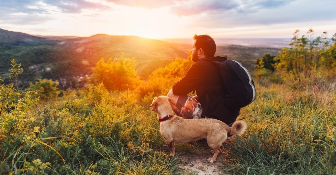 tips for camping with your dog