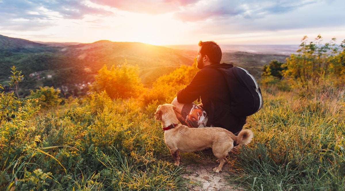 tips for camping with your dog