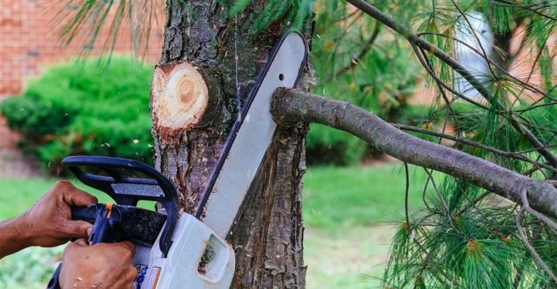 Best Electric & Cordless Battery Chainsaw