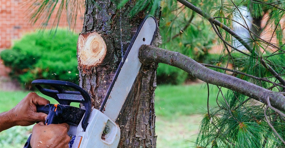 Best Electric & Cordless Battery Chainsaw