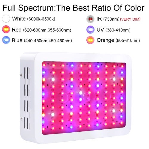 King Plus - Best LED grow lights for indoor plants