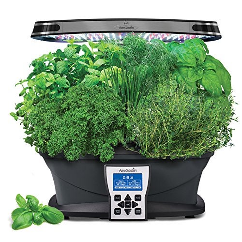 The 5 Best Indoor Herb Garden Kits [2021 Reviews]