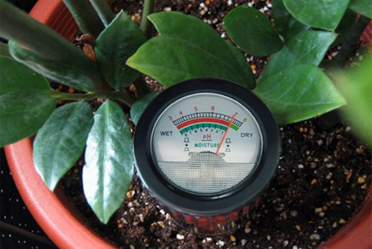 Gain-Express-pH-Moisture-Meter-feature image