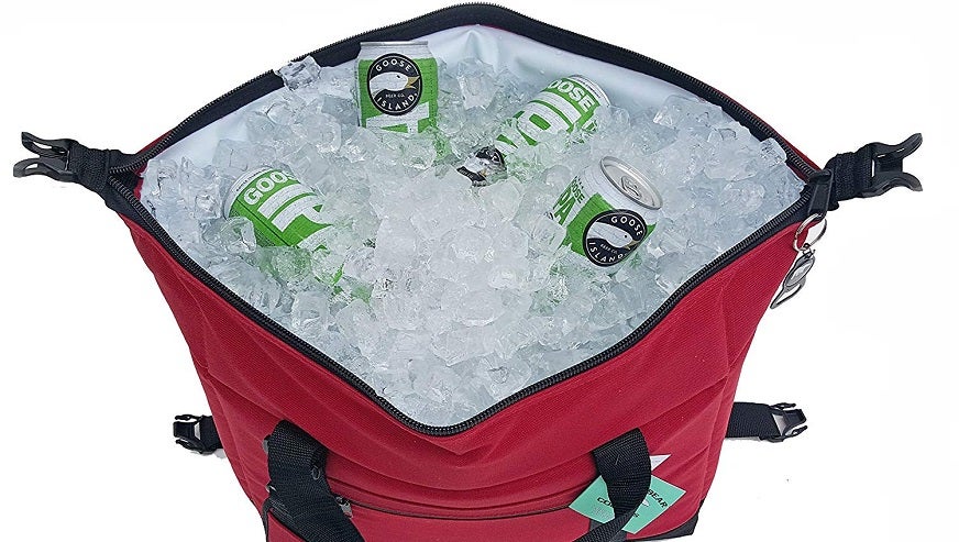 best cooler bag