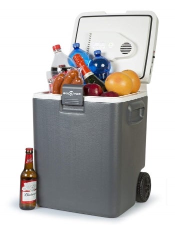 car cooler freezer