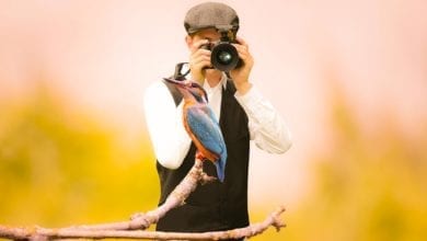 7 tips for starting bird watching