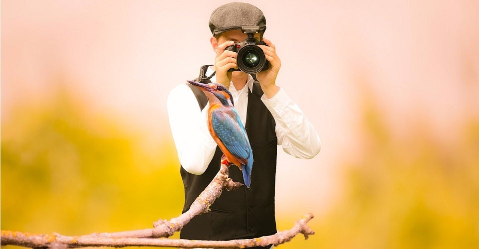 7 tips for starting bird watching