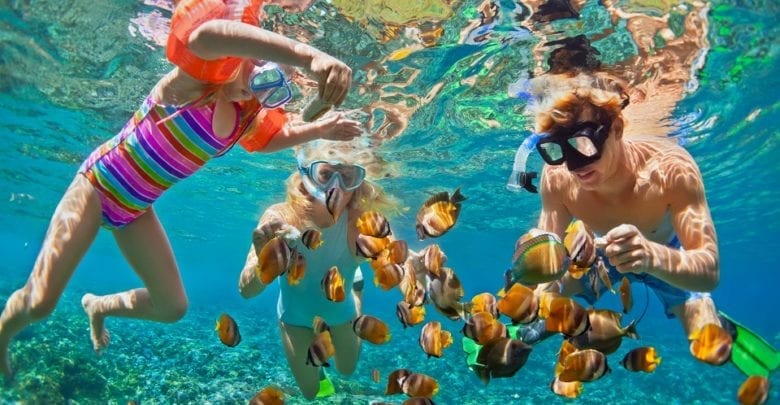 Best Snorkel Mask