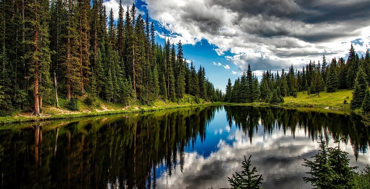 Enthusiasts Guide to Nature