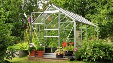 best greenhouse kit