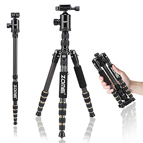 Lightweight Aluminum Camera Tripod for DSLR Camera  with 360° Panorama Ball Head and Carry Bag TYCKA Rangers 55” Compact Travel Tripod 