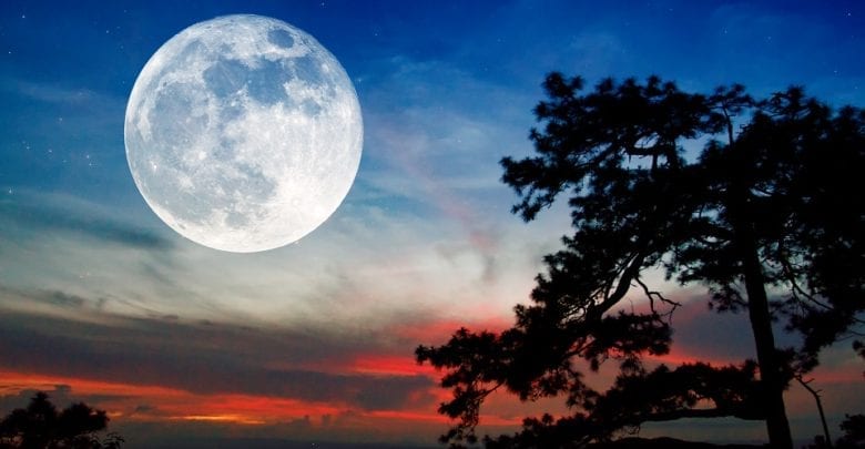 Best Binoculars For Astronomy