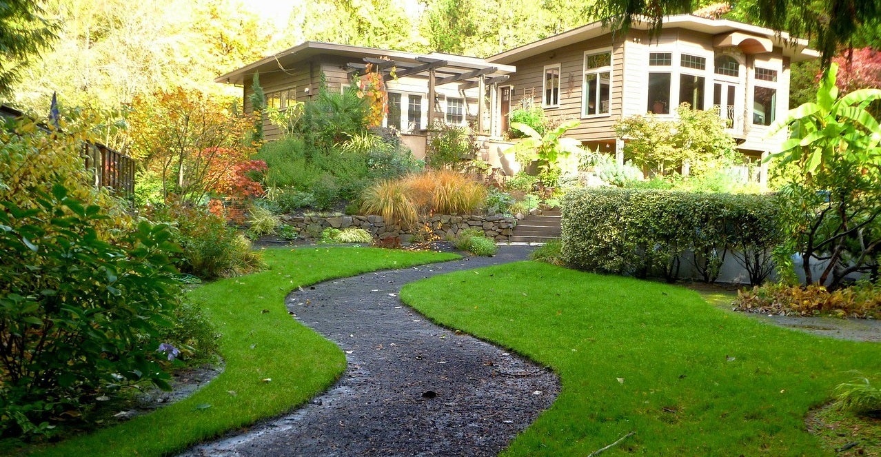 Guide To Yard Maintenance