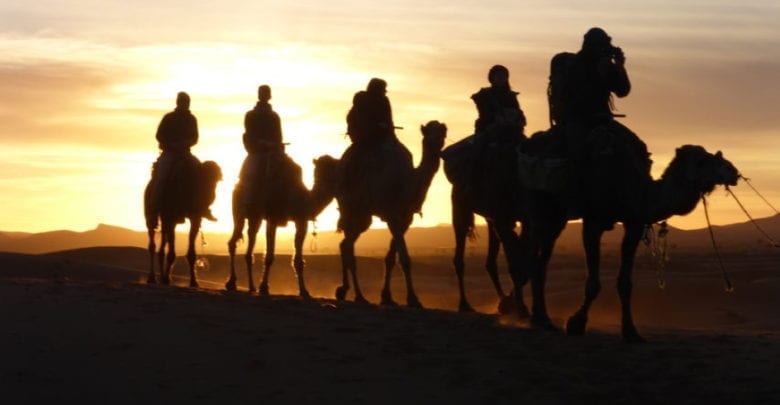 desert camel trip in marrakech