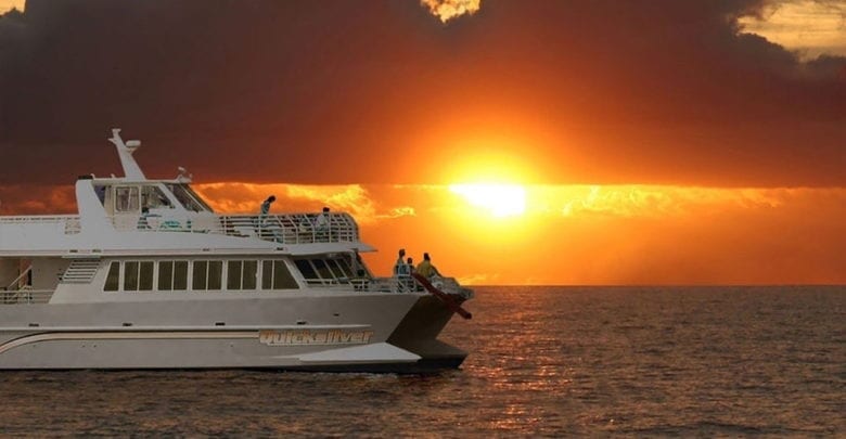 sunset dinner cruise in maui