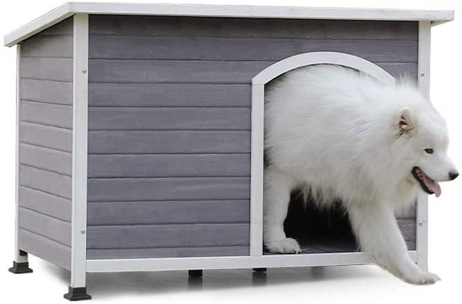 A 4 Pet Outdoor Wooden Dog House