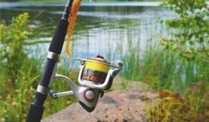 Beginners Guide To Fishing