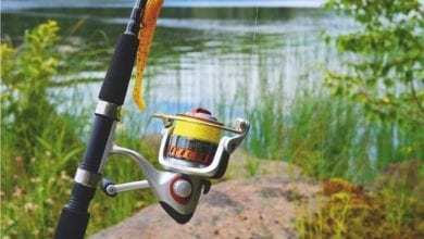 Beginners Guide To Fishing