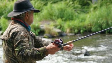 Beginner’s Guide To Fly Fishing