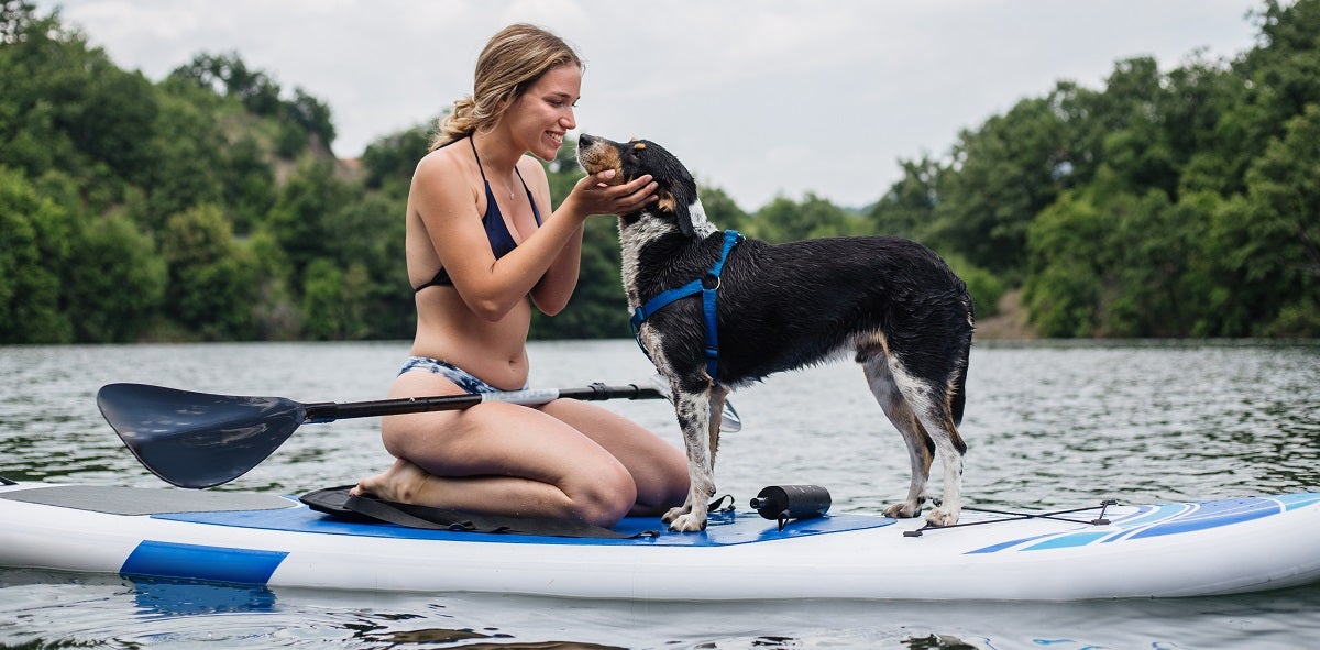 How to Take Your Dog Paddle Boarding