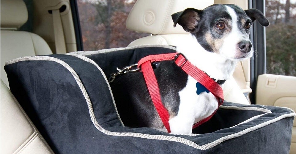 The 7 Best Dog Car Seats Boosters 2021 Reviews - Best Dog Safety Seat
