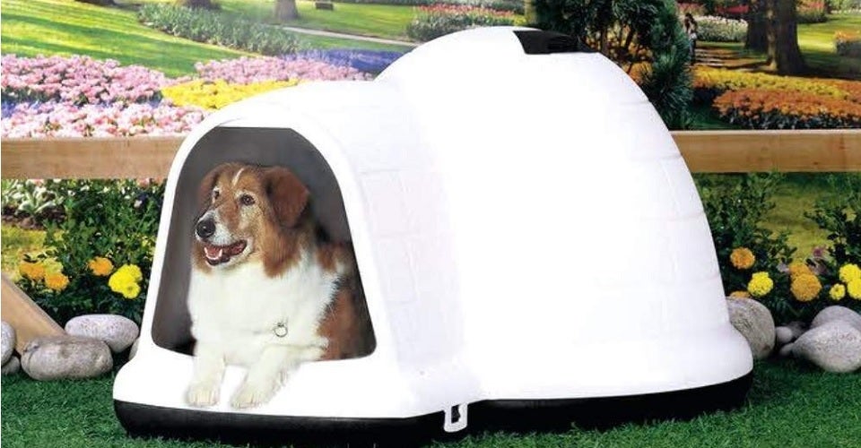 best dog house