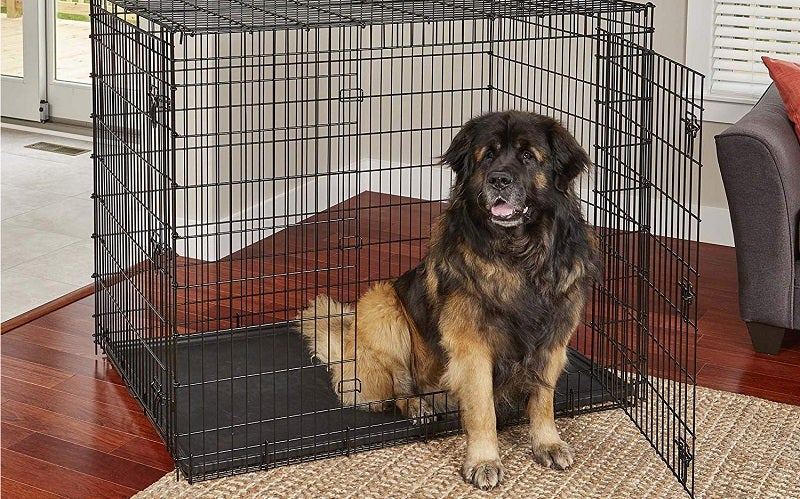 MidWest Homes for Pets XXL Giant Dog Crate best dog kennel