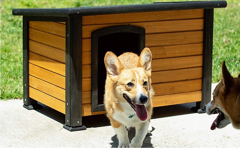 best outdoor dog house