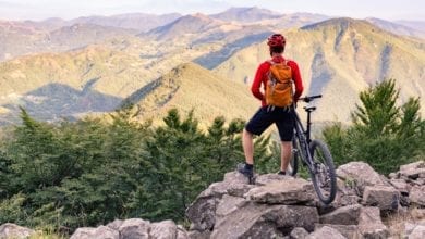 How To Choose A Mountain Bike