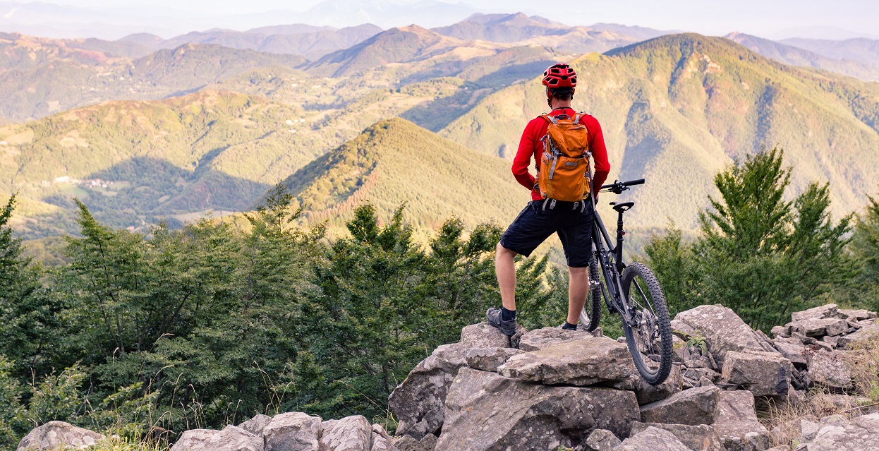 How To Choose A Mountain Bike