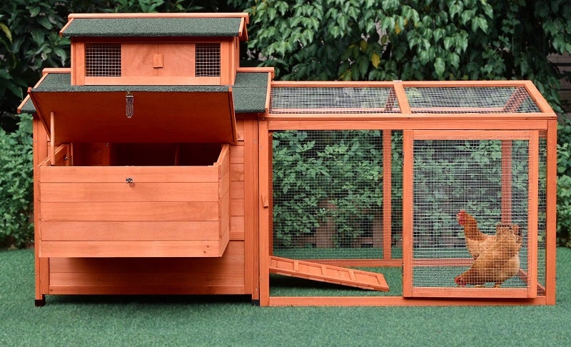 best chicken house