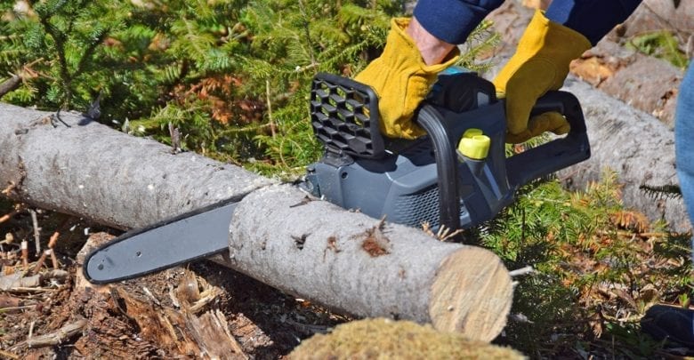 best cordless chainsaw