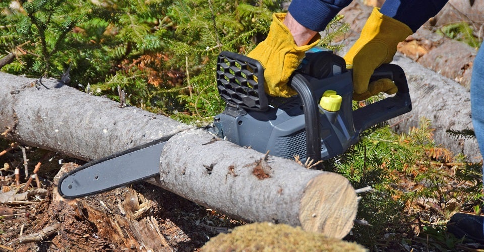 best cordless chainsaw