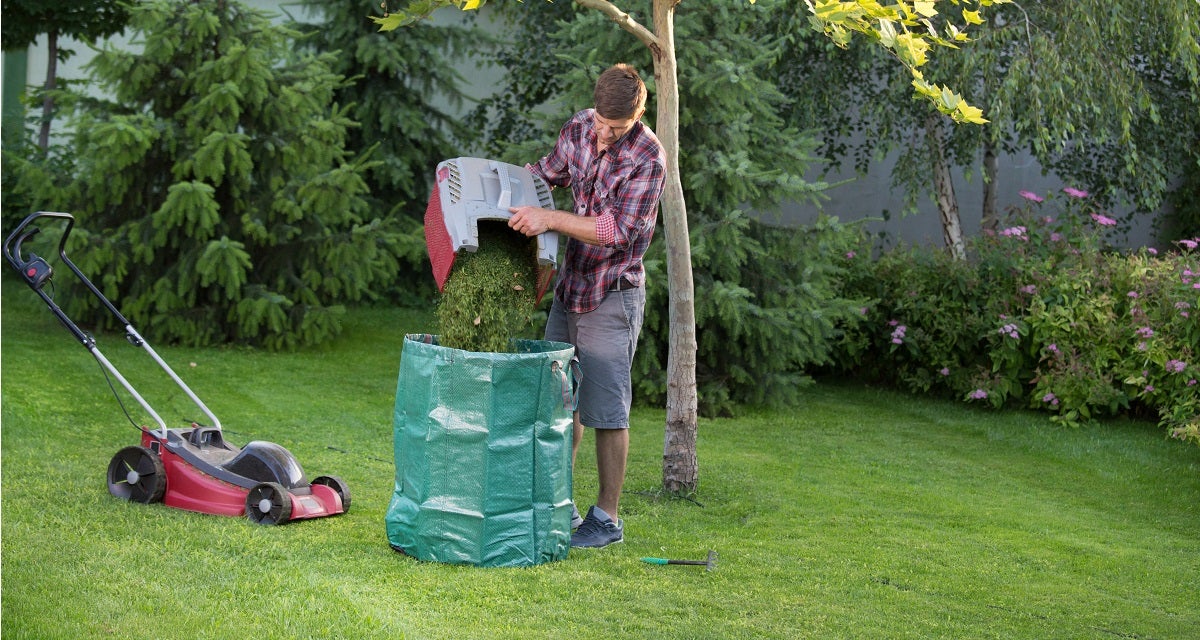 Eco-Friendly Items for Your Home