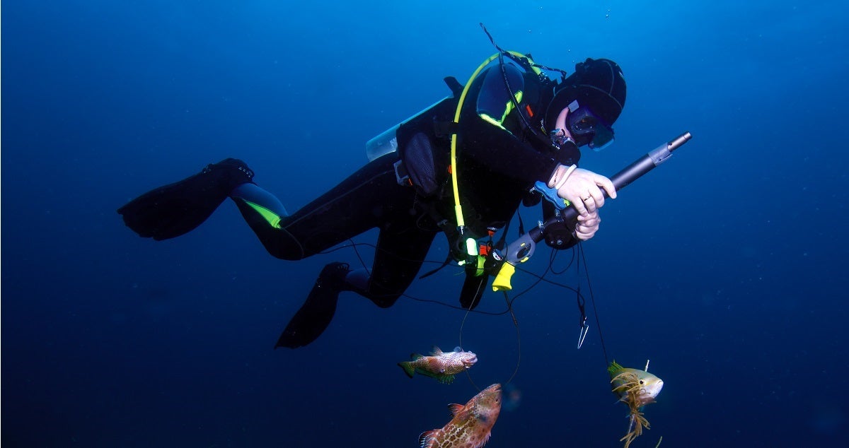 Advantages of Owning Your Own Scuba Gear