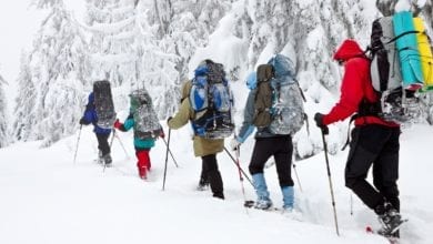 Essential Gear for Snowshoeing