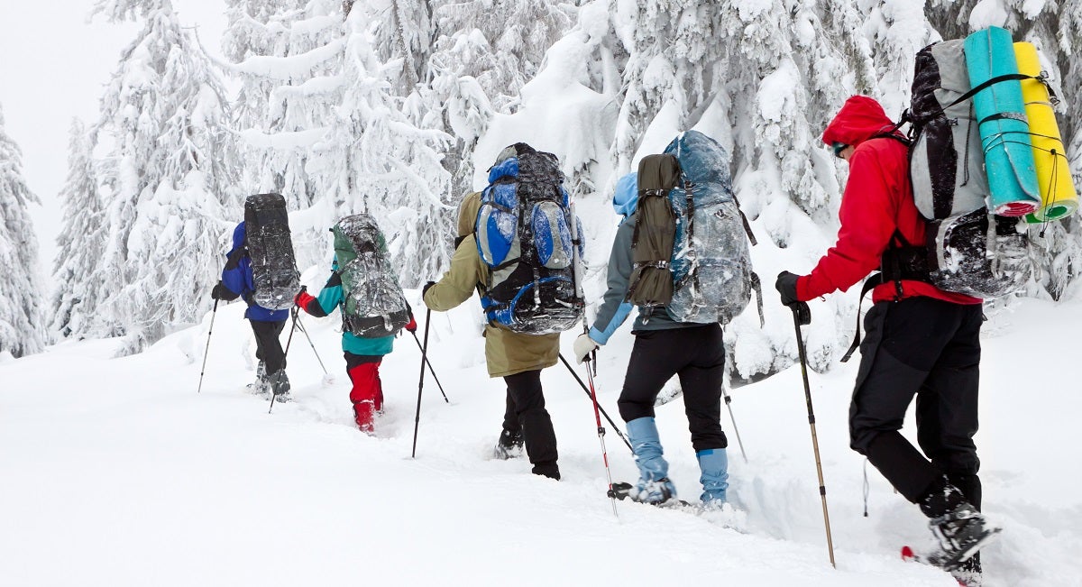 Essential Gear for Snowshoeing