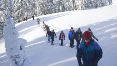 What to Wear Snowshoeing