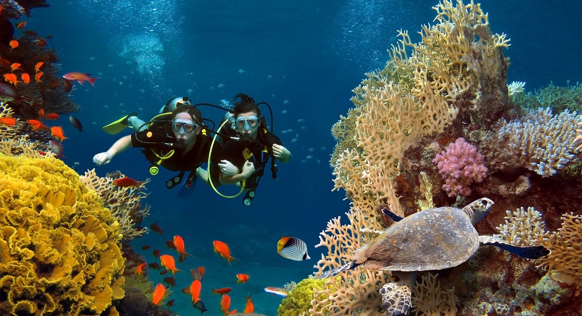 How to Reduce Air Consumption While Diving