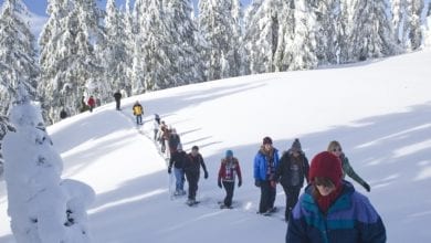 Different Types of Snowshoes