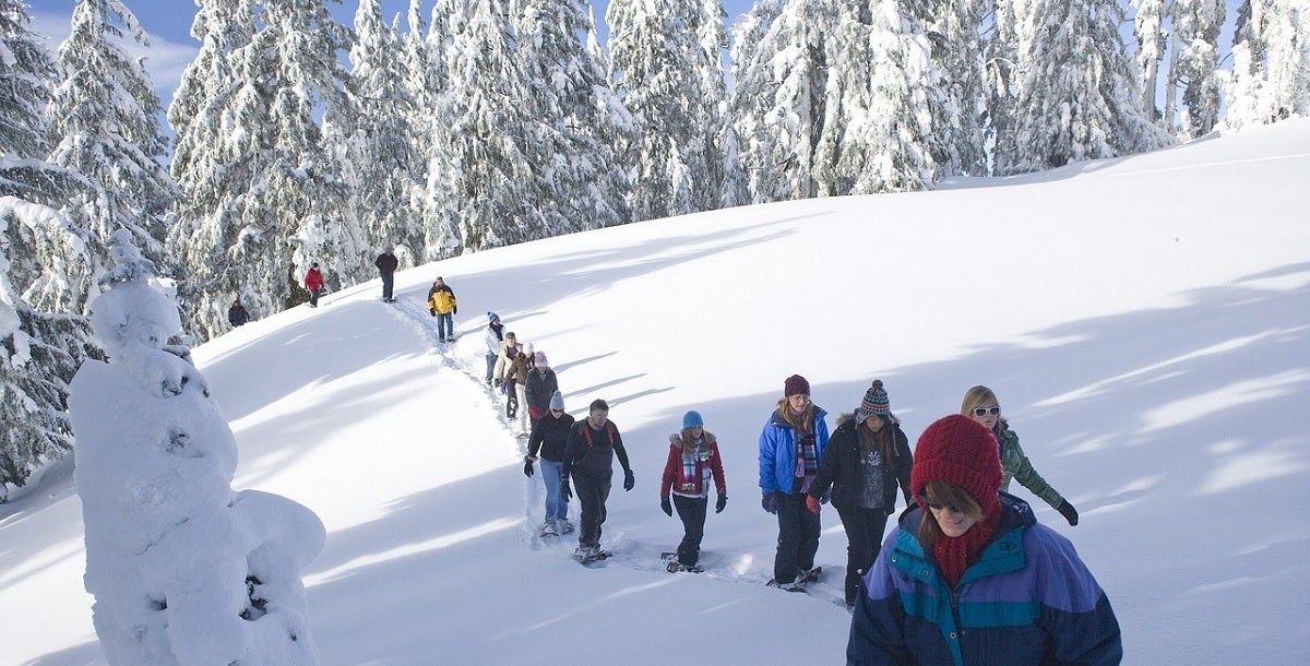 Different Types of Snowshoes